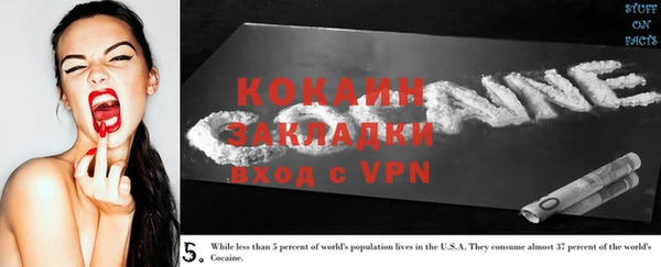 спайс Бородино