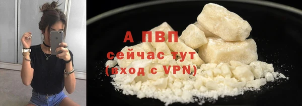 спайс Бородино