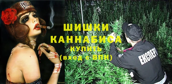 спайс Бородино