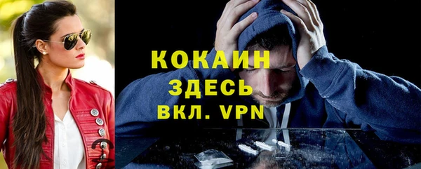 спайс Бородино